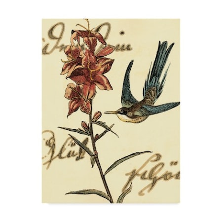 Vision Studio 'Small Hummingbird Reverie Iv' Canvas Art,24x32